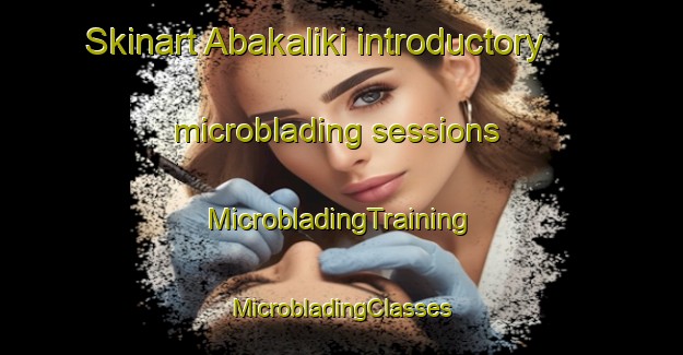 Skinart Abakaliki introductory microblading sessions | #MicrobladingTraining #MicrobladingClasses #SkinartTraining-Nigeria