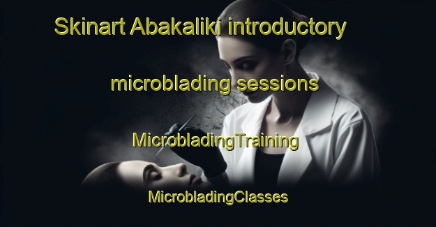 Skinart Abakaliki introductory microblading sessions | #MicrobladingTraining #MicrobladingClasses #SkinartTraining-Nigeria