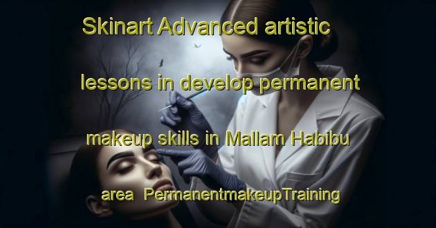 Skinart Advanced artistic lessons in develop permanent makeup skills in Mallam Habibu area | PermanentmakeupTraining | PermanentmakeupClasses | SkinartTraining-Nigeria