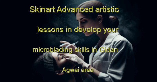 Skinart Advanced artistic lessons in develop your microblading skills in Gidan Agwai area | MicrobladingTraining | MicrobladingClasses | SkinartTraining-Nigeria
