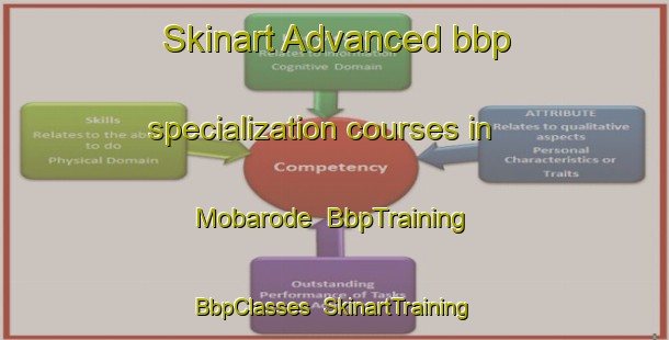 Skinart Advanced bbp specialization courses in Mobarode | BbpTraining | BbpClasses | SkinartTraining-Nigeria