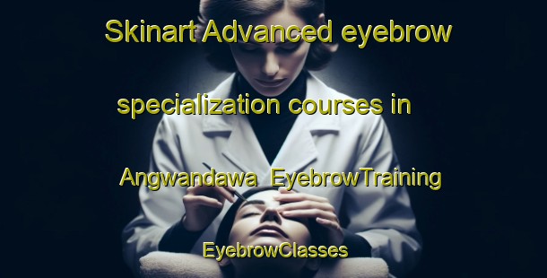 Skinart Advanced eyebrow specialization courses in Angwandawa | EyebrowTraining | EyebrowClasses | SkinartTraining-Nigeria