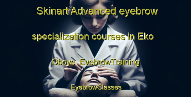 Skinart Advanced eyebrow specialization courses in Eko Oboye | EyebrowTraining | EyebrowClasses | SkinartTraining-Nigeria
