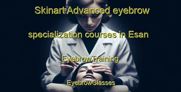 Skinart Advanced eyebrow specialization courses in Esan | EyebrowTraining | EyebrowClasses | SkinartTraining-Nigeria