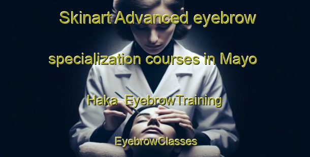 Skinart Advanced eyebrow specialization courses in Mayo Haka | EyebrowTraining | EyebrowClasses | SkinartTraining-Nigeria