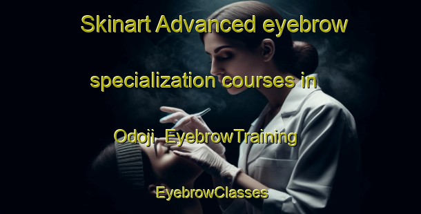 Skinart Advanced eyebrow specialization courses in Odoji | EyebrowTraining | EyebrowClasses | SkinartTraining-Nigeria