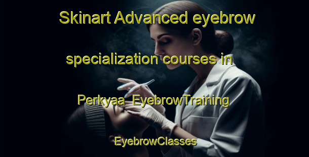 Skinart Advanced eyebrow specialization courses in Perkyaa | EyebrowTraining | EyebrowClasses | SkinartTraining-Nigeria