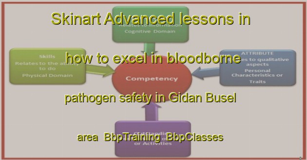 Skinart Advanced lessons in how to excel in bloodborne pathogen safety in Gidan Busel area | BbpTraining | BbpClasses | SkinartTraining-Nigeria