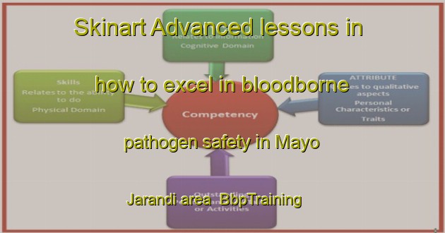 Skinart Advanced lessons in how to excel in bloodborne pathogen safety in Mayo Jarandi area | BbpTraining | BbpClasses | SkinartTraining-Nigeria