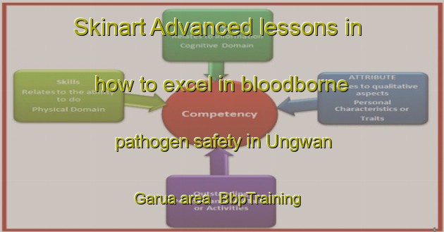 Skinart Advanced lessons in how to excel in bloodborne pathogen safety in Ungwan Garua area | BbpTraining | BbpClasses | SkinartTraining-Nigeria