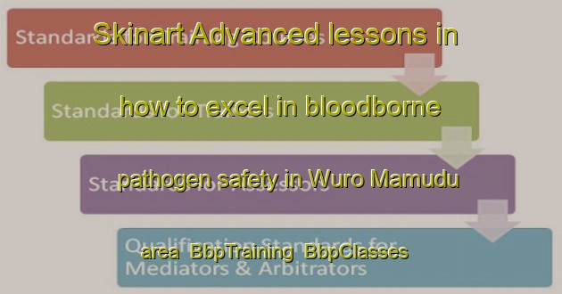 Skinart Advanced lessons in how to excel in bloodborne pathogen safety in Wuro Mamudu area | BbpTraining | BbpClasses | SkinartTraining-Nigeria