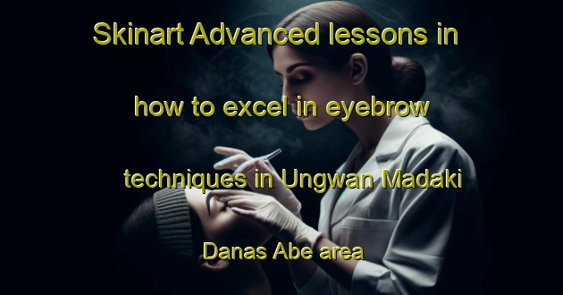 Skinart Advanced lessons in how to excel in eyebrow techniques in Ungwan Madaki Danas Abe area | EyebrowTraining | EyebrowClasses | SkinartTraining-Nigeria