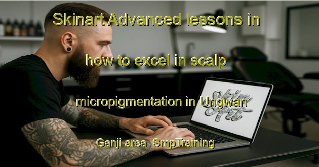 Skinart Advanced lessons in how to excel in scalp micropigmentation in Ungwan Ganji area | SmpTraining | SmpClasses | SkinartTraining-Nigeria