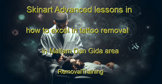 Skinart Advanced lessons in how to excel in tattoo removal in Mallam Dan Gida area | RemovalTraining | RemovalClasses | SkinartTraining-Nigeria