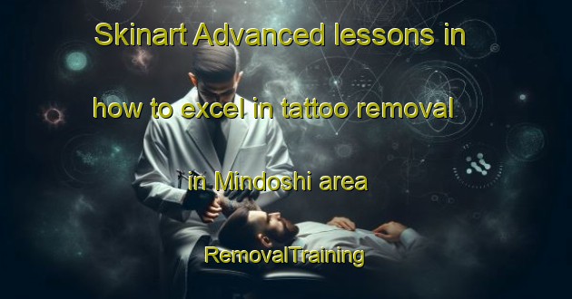 Skinart Advanced lessons in how to excel in tattoo removal in Mindoshi area | RemovalTraining | RemovalClasses | SkinartTraining-Nigeria