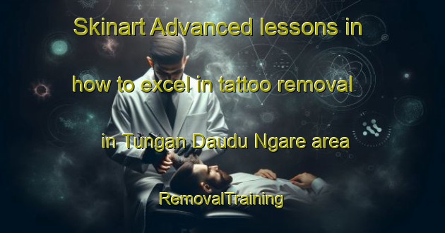 Skinart Advanced lessons in how to excel in tattoo removal in Tungan Daudu Ngare area | RemovalTraining | RemovalClasses | SkinartTraining-Nigeria