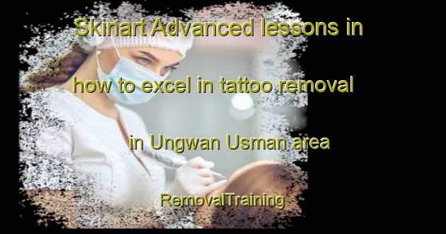 Skinart Advanced lessons in how to excel in tattoo removal in Ungwan Usman area | RemovalTraining | RemovalClasses | SkinartTraining-Nigeria