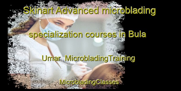 Skinart Advanced microblading specialization courses in Bula Umar | MicrobladingTraining | MicrobladingClasses | SkinartTraining-Nigeria