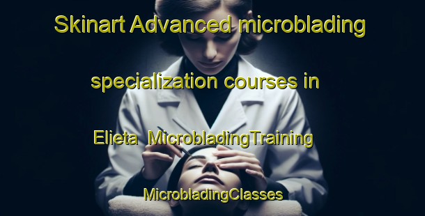 Skinart Advanced microblading specialization courses in Elieta | #MicrobladingTraining #MicrobladingClasses #SkinartTraining-Nigeria