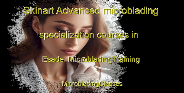 Skinart Advanced microblading specialization courses in Esade | #MicrobladingTraining #MicrobladingClasses #SkinartTraining-Nigeria