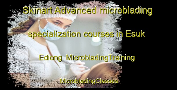 Skinart Advanced microblading specialization courses in Esuk Ediong | #MicrobladingTraining #MicrobladingClasses #SkinartTraining-Nigeria