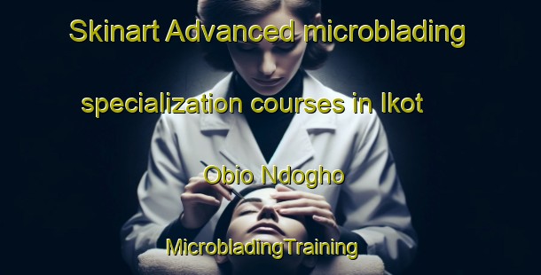 Skinart Advanced microblading specialization courses in Ikot Obio Ndogho | MicrobladingTraining | MicrobladingClasses | SkinartTraining-Nigeria