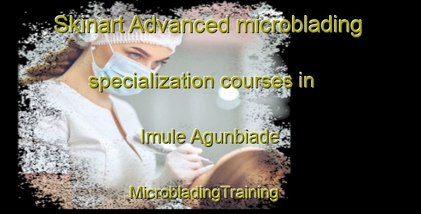 Skinart Advanced microblading specialization courses in Imule Agunbiade | MicrobladingTraining | MicrobladingClasses | SkinartTraining-Nigeria