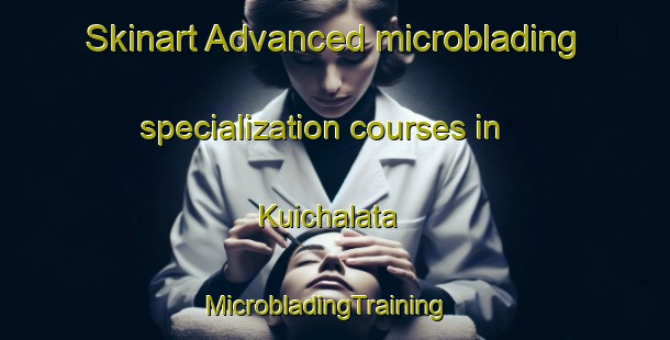 Skinart Advanced microblading specialization courses in Kuichalata | MicrobladingTraining | MicrobladingClasses | SkinartTraining-Nigeria