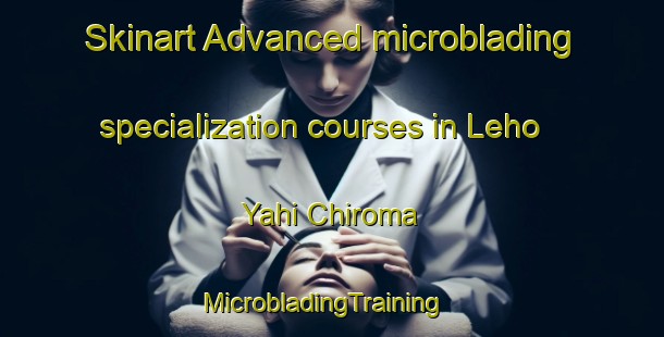 Skinart Advanced microblading specialization courses in Leho Yahi Chiroma | MicrobladingTraining | MicrobladingClasses | SkinartTraining-Nigeria