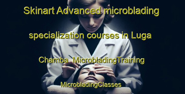 Skinart Advanced microblading specialization courses in Luga Chamba | MicrobladingTraining | MicrobladingClasses | SkinartTraining-Nigeria