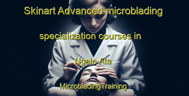 Skinart Advanced microblading specialization courses in Ngele Ata | #MicrobladingTraining #MicrobladingClasses #SkinartTraining-Nigeria