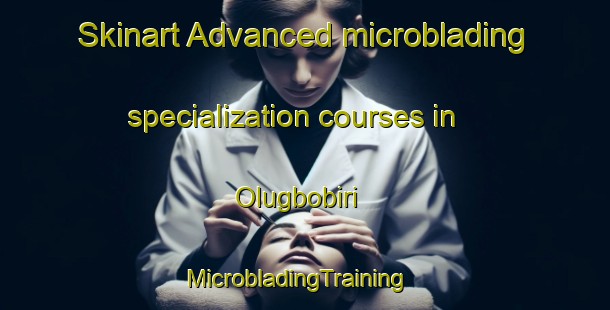 Skinart Advanced microblading specialization courses in Olugbobiri | MicrobladingTraining | MicrobladingClasses | SkinartTraining-Nigeria