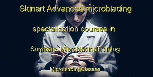Skinart Advanced microblading specialization courses in Sumbare | MicrobladingTraining | MicrobladingClasses | SkinartTraining-Nigeria
