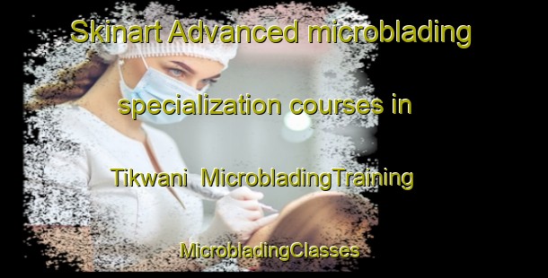 Skinart Advanced microblading specialization courses in Tikwani | MicrobladingTraining | MicrobladingClasses | SkinartTraining-Nigeria