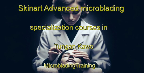 Skinart Advanced microblading specialization courses in Tungan Kawo | MicrobladingTraining | MicrobladingClasses | SkinartTraining-Nigeria