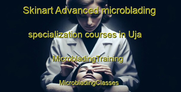 Skinart Advanced microblading specialization courses in Uja | MicrobladingTraining | MicrobladingClasses | SkinartTraining-Nigeria