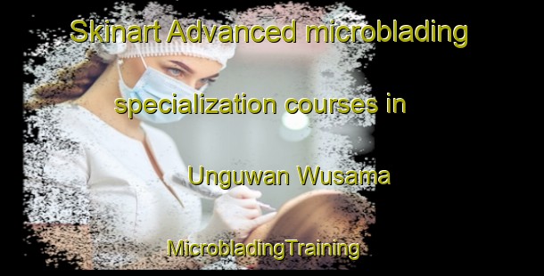 Skinart Advanced microblading specialization courses in Unguwan Wusama | MicrobladingTraining | MicrobladingClasses | SkinartTraining-Nigeria