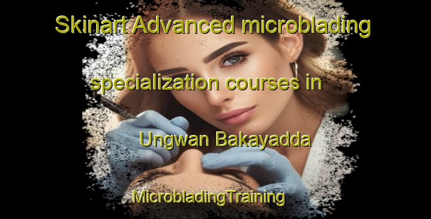Skinart Advanced microblading specialization courses in Ungwan Bakayadda | MicrobladingTraining | MicrobladingClasses | SkinartTraining-Nigeria