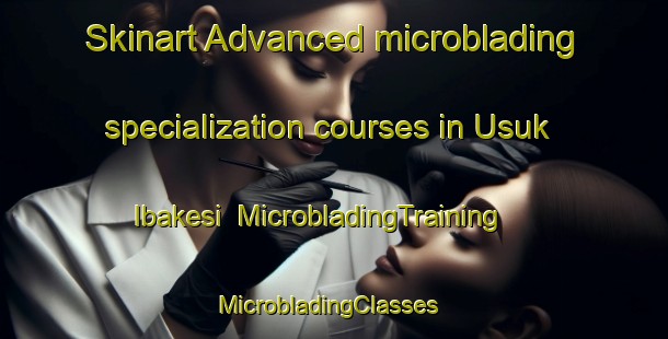 Skinart Advanced microblading specialization courses in Usuk Ibakesi | MicrobladingTraining | MicrobladingClasses | SkinartTraining-Nigeria