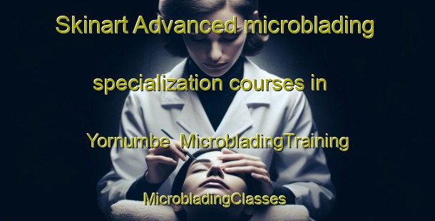 Skinart Advanced microblading specialization courses in Yornumbe | MicrobladingTraining | MicrobladingClasses | SkinartTraining-Nigeria