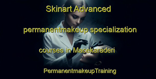 Skinart Advanced permanentmakeup specialization courses in Macekaraderi | PermanentmakeupTraining | PermanentmakeupClasses | SkinartTraining-Nigeria