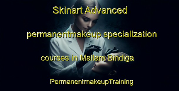 Skinart Advanced permanentmakeup specialization courses in Mallam Bindiga | PermanentmakeupTraining | PermanentmakeupClasses | SkinartTraining-Nigeria