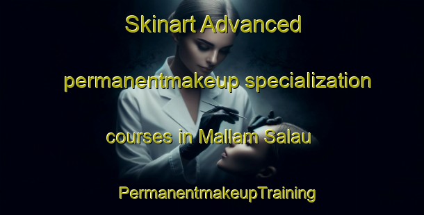 Skinart Advanced permanentmakeup specialization courses in Mallam Salau | PermanentmakeupTraining | PermanentmakeupClasses | SkinartTraining-Nigeria