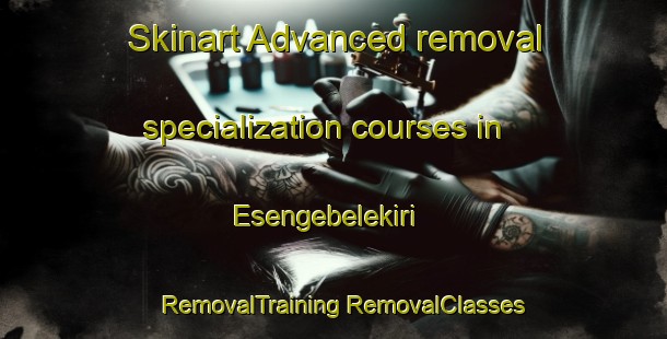 Skinart Advanced removal specialization courses in Esengebelekiri | #RemovalTraining #RemovalClasses #SkinartTraining-Nigeria