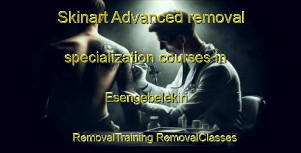 Skinart Advanced removal specialization courses in Esengebelekiri | #RemovalTraining #RemovalClasses #SkinartTraining-Nigeria