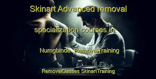 Skinart Advanced removal specialization courses in Numgbinde | #RemovalTraining #RemovalClasses #SkinartTraining-Nigeria