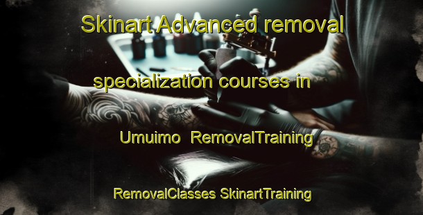 Skinart Advanced removal specialization courses in Umuimo | #RemovalTraining #RemovalClasses #SkinartTraining-Nigeria