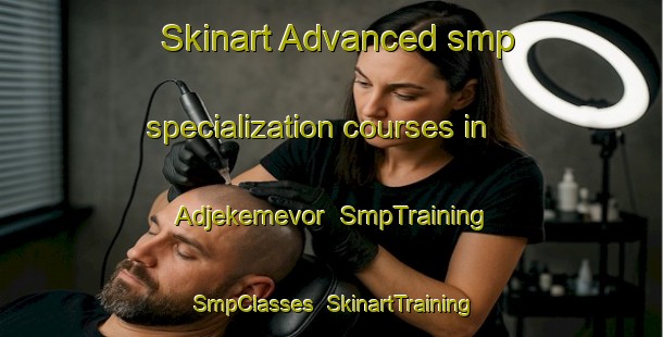 Skinart Advanced smp specialization courses in Adjekemevor | SmpTraining | SmpClasses | SkinartTraining-Nigeria