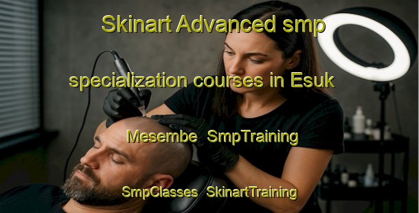 Skinart Advanced smp specialization courses in Esuk Mesembe | SmpTraining | SmpClasses | SkinartTraining-Nigeria