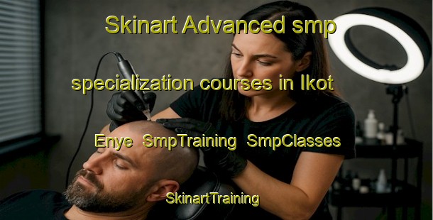 Skinart Advanced smp specialization courses in Ikot Enye | SmpTraining | SmpClasses | SkinartTraining-Nigeria